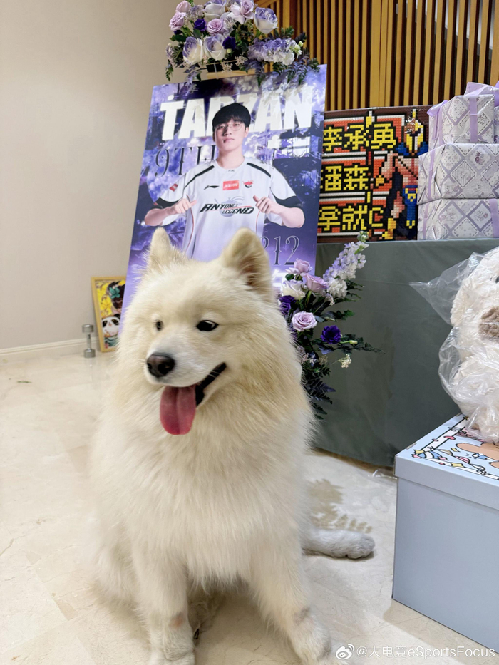 Tarzan李承勇感恩粉丝九年支持,承诺展现精彩比赛|lpl|AL|粉丝应援物产出|赛程|写作业_新浪体育_新浪新闻